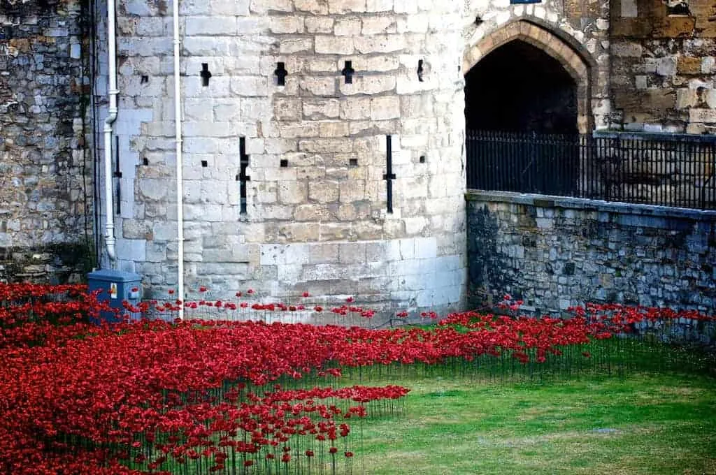 Poppies bij de tower 1