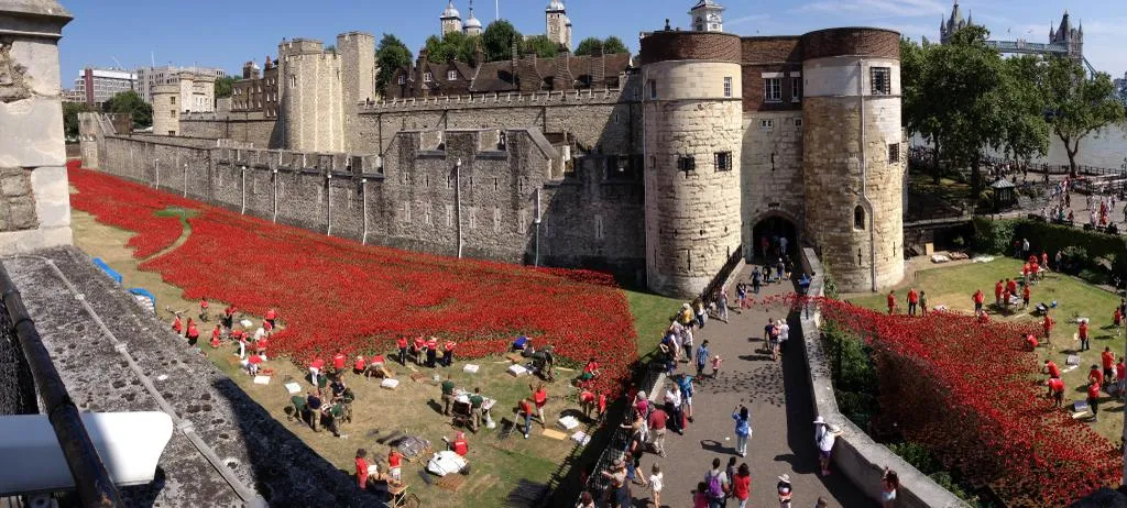 Poppies bij de tower 2